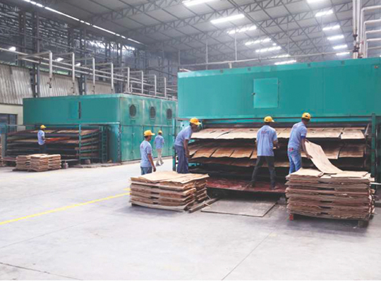 Top 10 Plywood Manufacturers in India